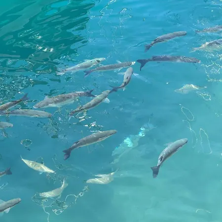 Piso Paraíso Vicino Al Mare *